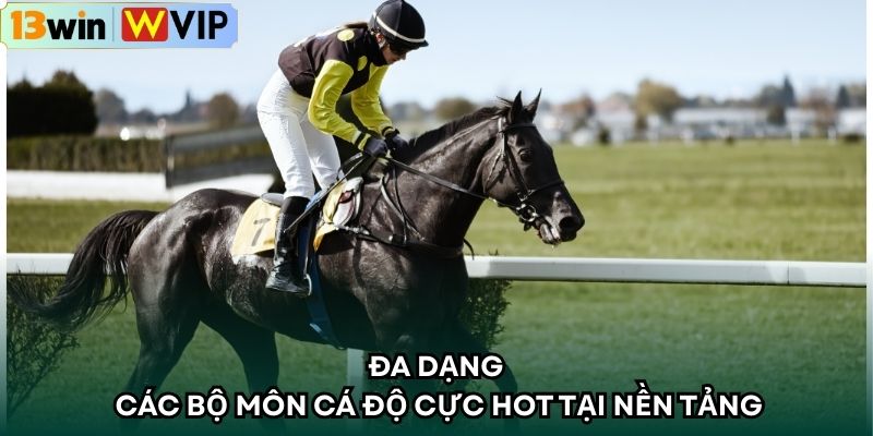 Đa dạng các bộ môn cá độ cực hot tại nền tảng